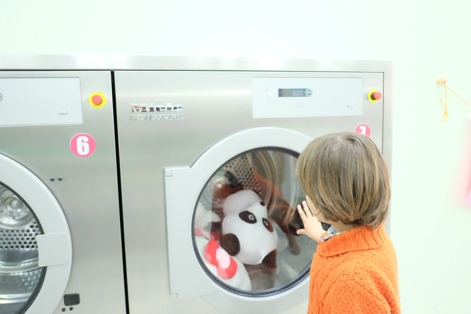 Experiência familiar na lavandaria - criança a ver o seu peluche favorito a ser lavado nas nossas máquinas